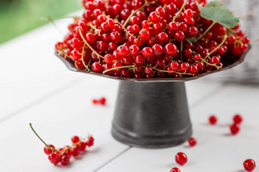 Similar image 21511037