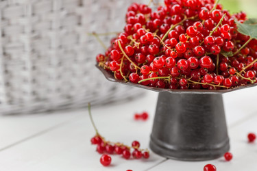 Similar image 21511038