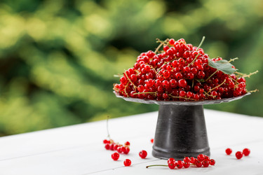 Similar image 21511040