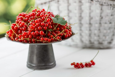 Similar image 21511308