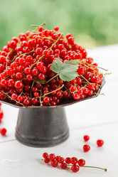 Similar image 21511309