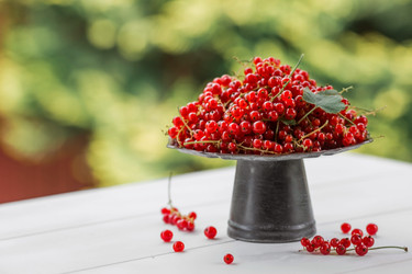 Similar image 21511310