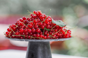 Similar image 21511311