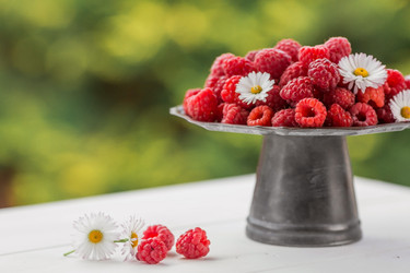 Similar image 21511315