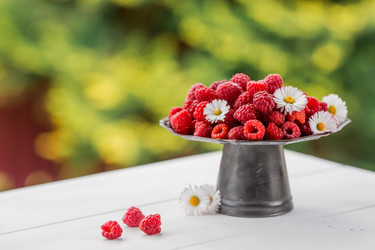 Similar image 21511319