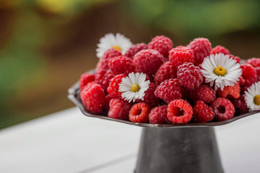 Similar image 21511320