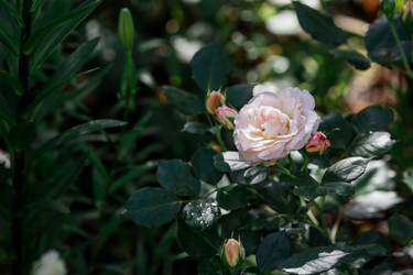 Similar image 21511322