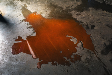 Similar image 21506859