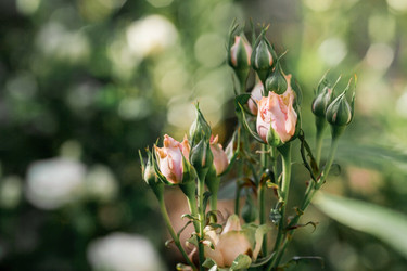 Similar image 21511325