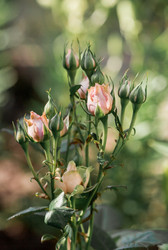 Similar image 21511327