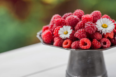 Similar image 21511328