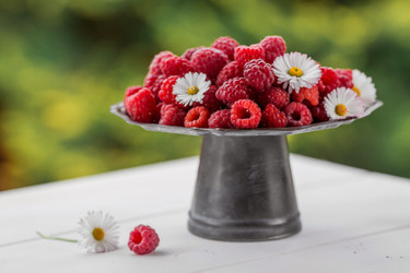 Similar image 21511330