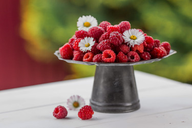 Similar image 21511332