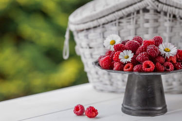 Similar image 21511334