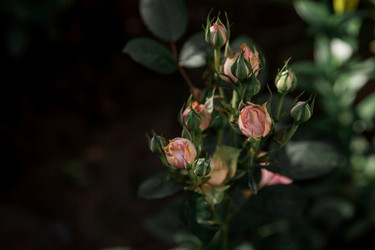 Similar image 21511337