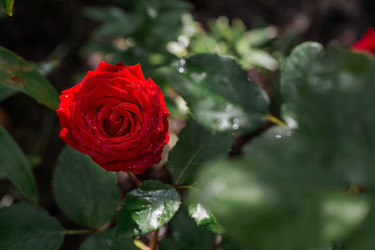 Similar image 21511341