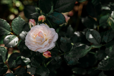 Similar image 21511343