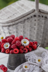 Similar image 21511344