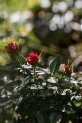 Similar image 21511349