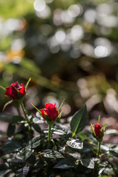 Similar image 21511351