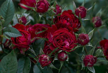 Similar image 21511042