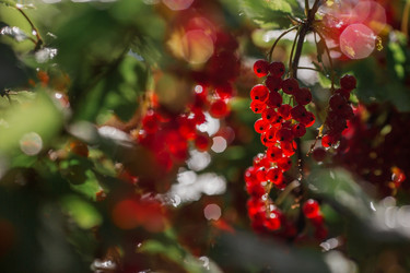 Similar image 21511047