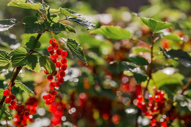 Similar image 21511051