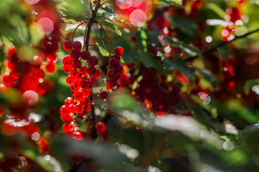 Similar image 21511055