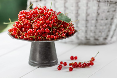 Similar image 21511057