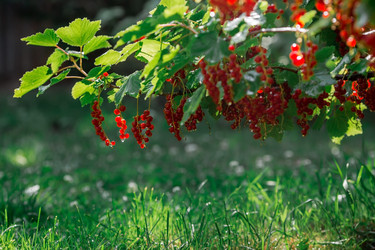 Similar image 21511059