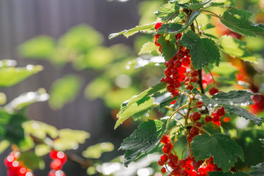 Similar image 21511060