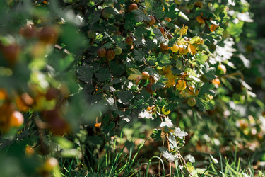 Similar image 21511062