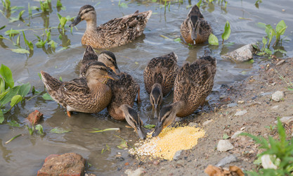 Similar image 21507777