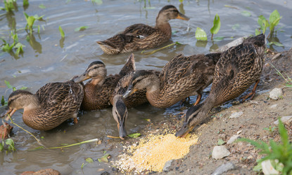 Similar image 21507778