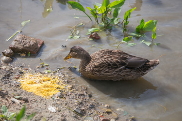 Similar image 21507779