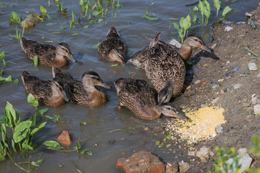 Similar image 21507781