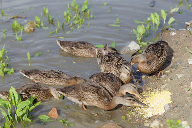 Similar image 21507783