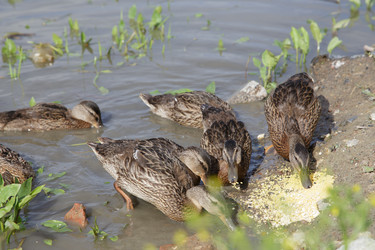 Similar image 21507784