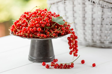 Similar image 21511065