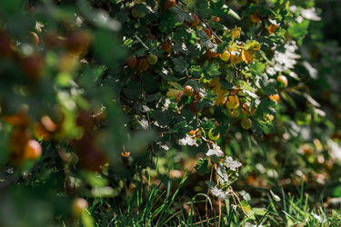 Similar image 21511066