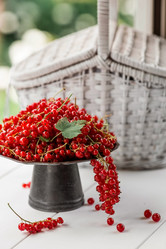 Similar image 21511069