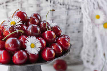 Similar image 21511076