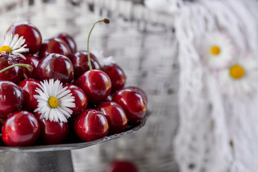 Similar image 21511077