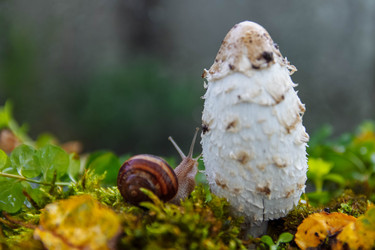 Similar image 21507791