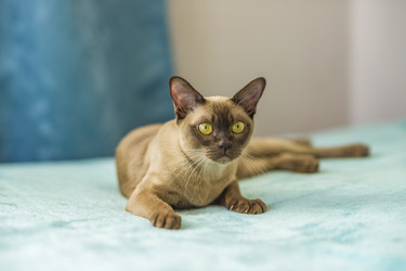 Similar image 21508977