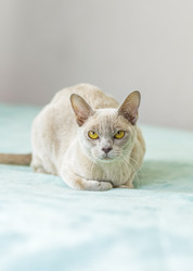 Similar image 21508978