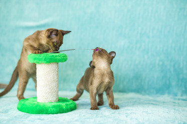 Similar image 21508979