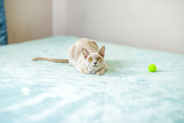 Similar image 21508980