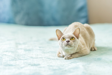 Similar image 21508982