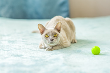 Similar image 21508984